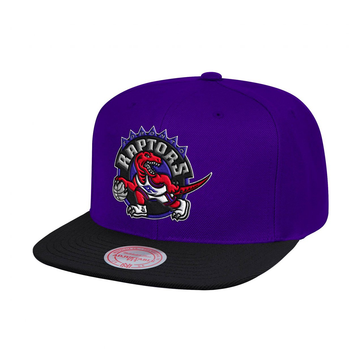 Toronto Raptors 2-Tone Classic Snapback 'Purple Black'