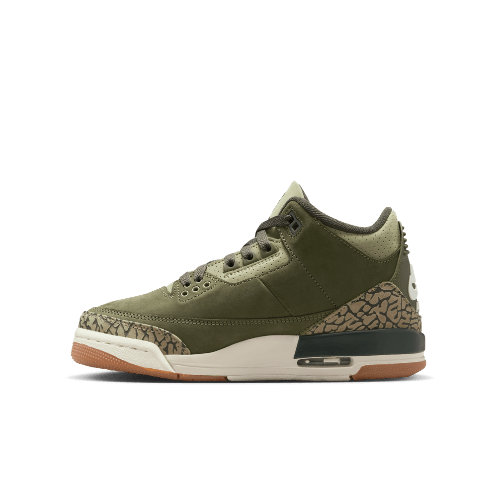 Air Jordan 3 Retro GS 'Family Affair'