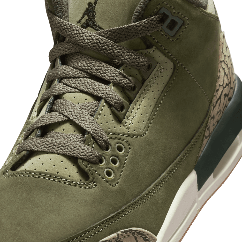 Air Jordan 3 Retro GS 'Family Affair'