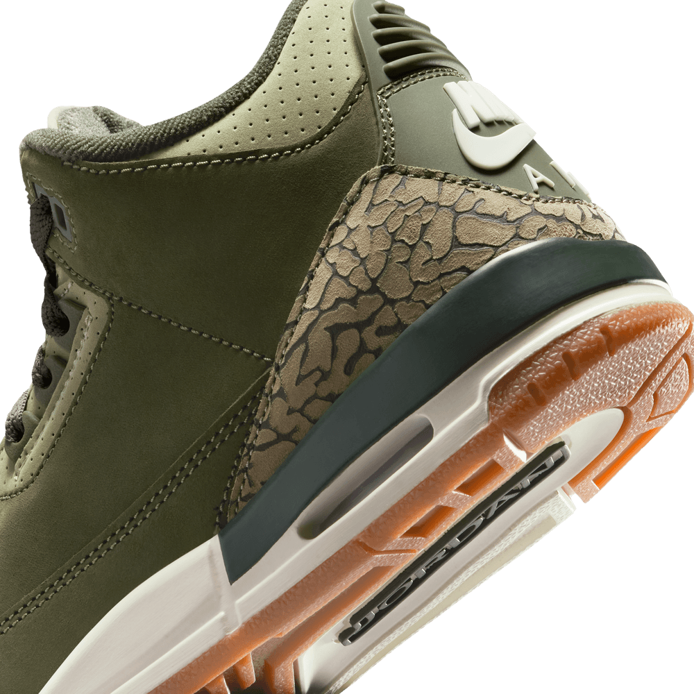 Air Jordan 3 Retro GS 'Family Affair'