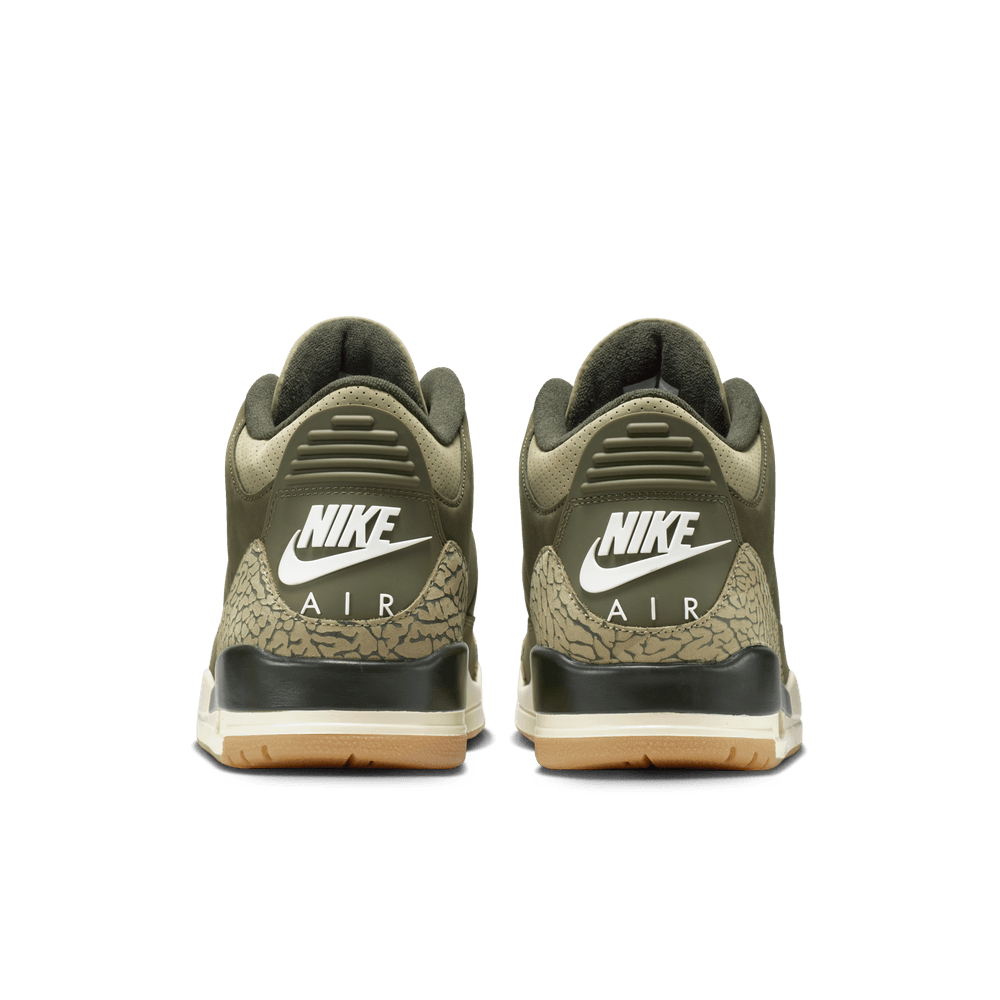 Air Jordan 3 Retro 'Family Affair'