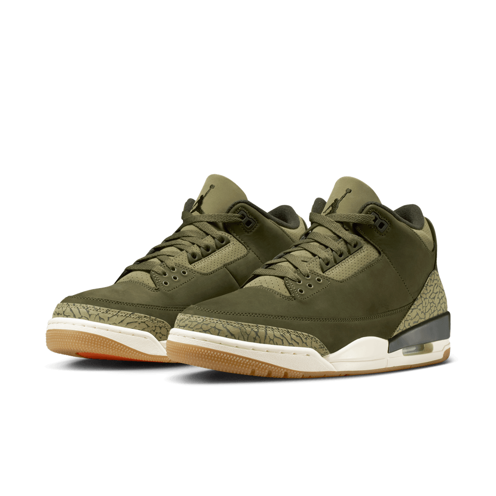 Air Jordan 3 Retro 'Family Affair'