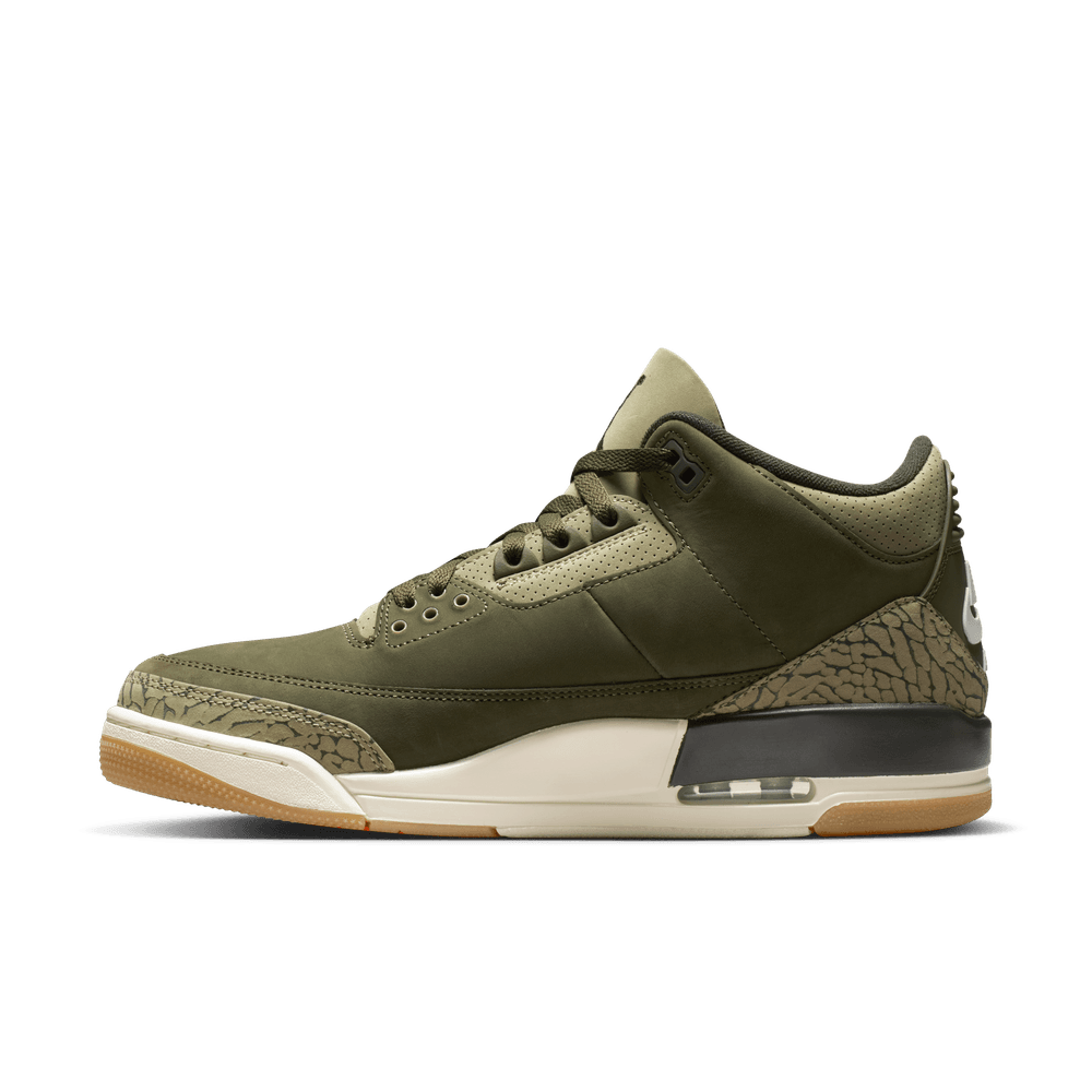 Air Jordan 3 Retro 'Family Affair'