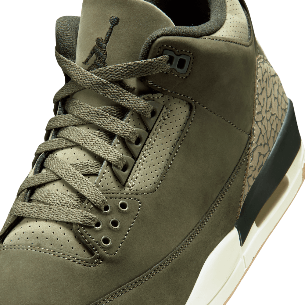 Air Jordan 3 Retro 'Family Affair'