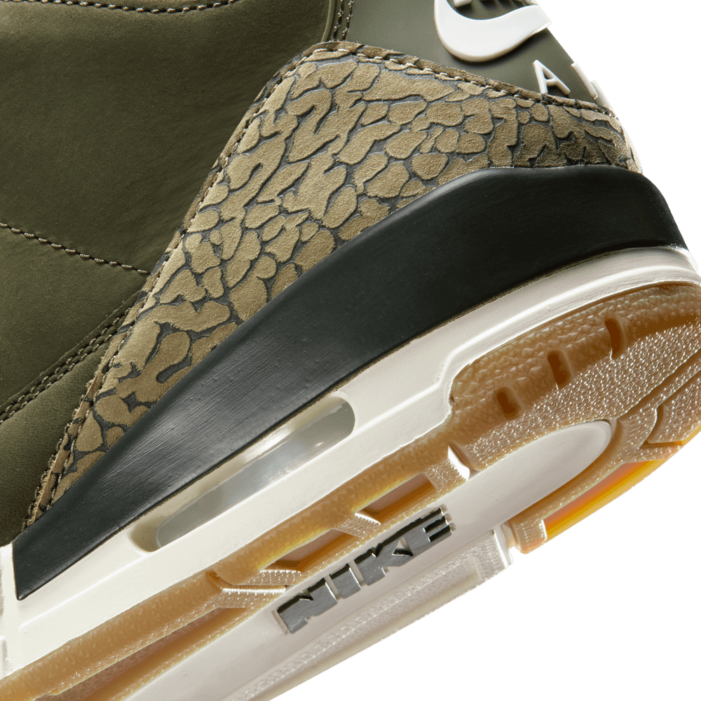 Air Jordan 3 Retro 'Family Affair'