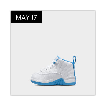 TD Jordan 12 'Melo'