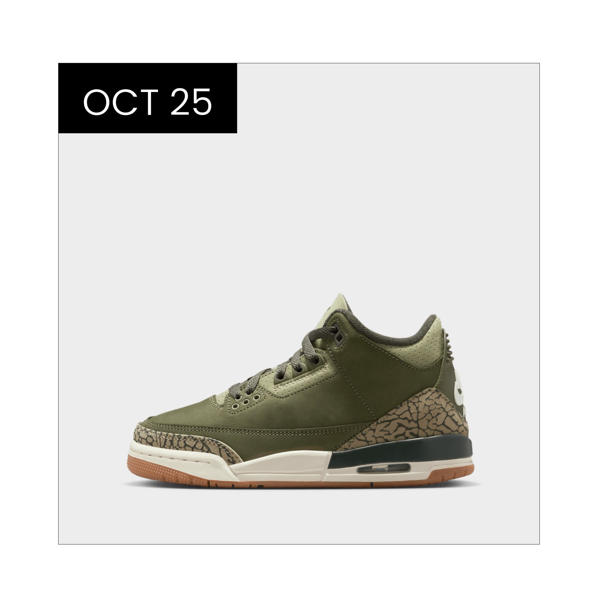 Air Jordan 3 Retro GS 'Family Affair'