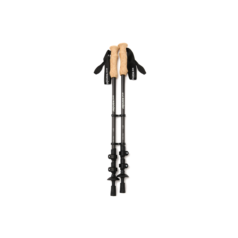 Carbon Trekking Pole 'Black'