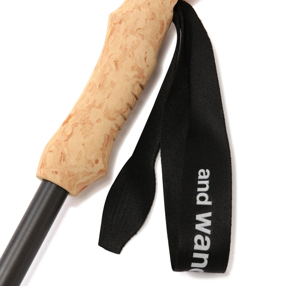 Carbon Trekking Pole 'Black'