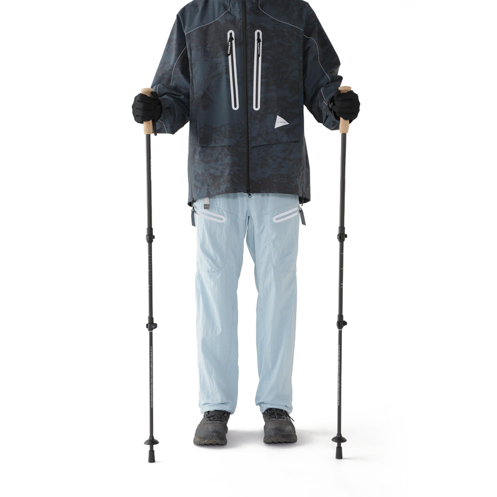 Carbon Trekking Pole 'Black'