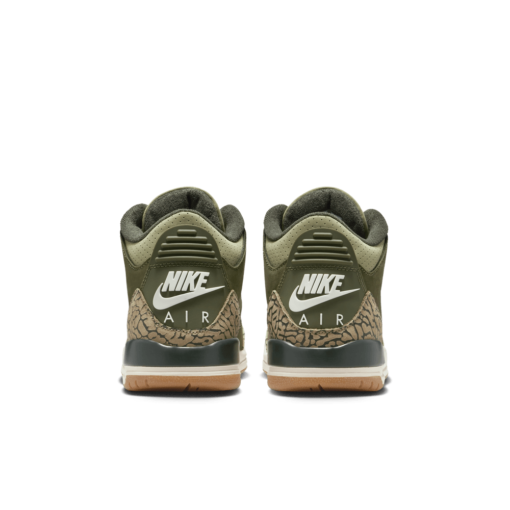 Air Jordan 3 Retro GS 'Family Affair'