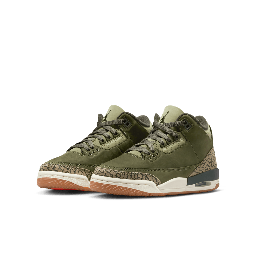 Air Jordan 3 Retro GS 'Family Affair'