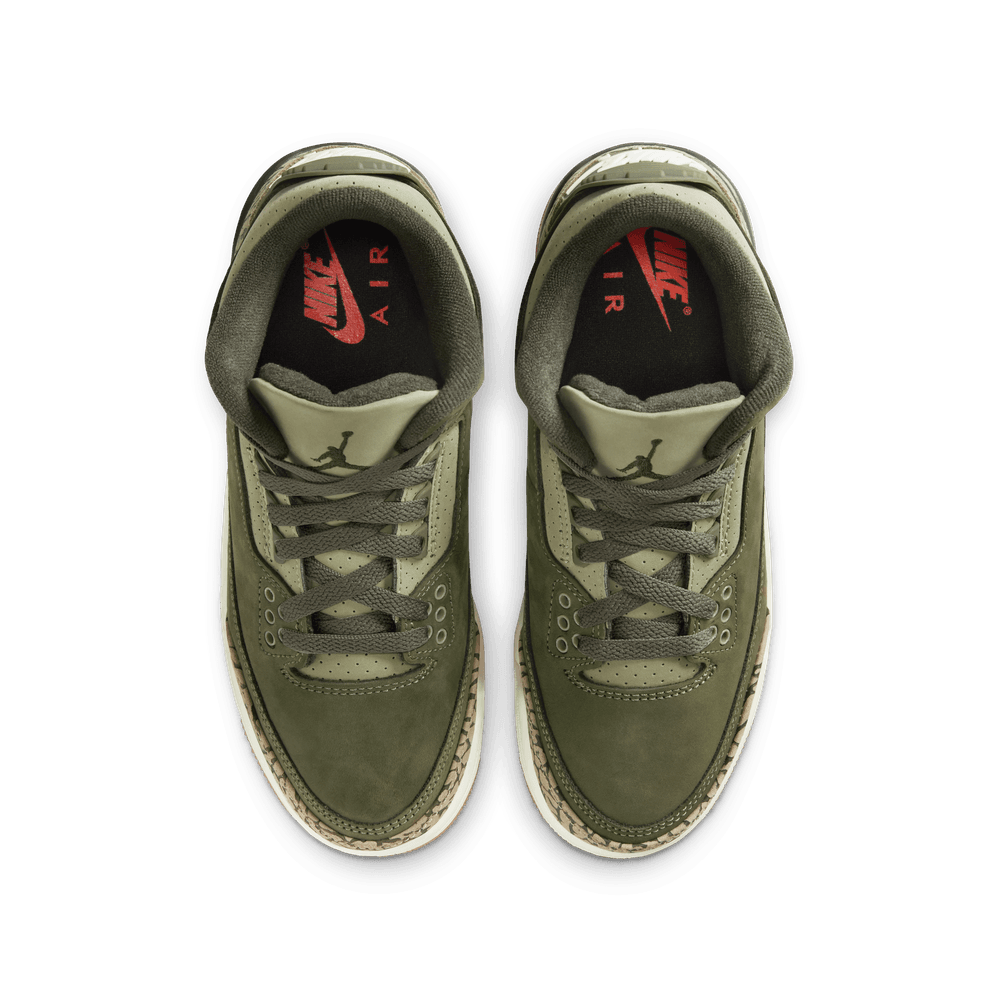 Air Jordan 3 Retro GS 'Family Affair'