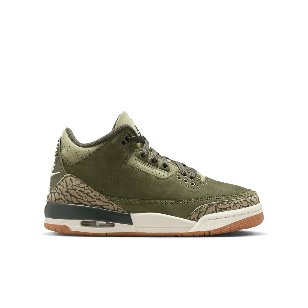 Air Jordan 3 Retro GS 'Family Affair'