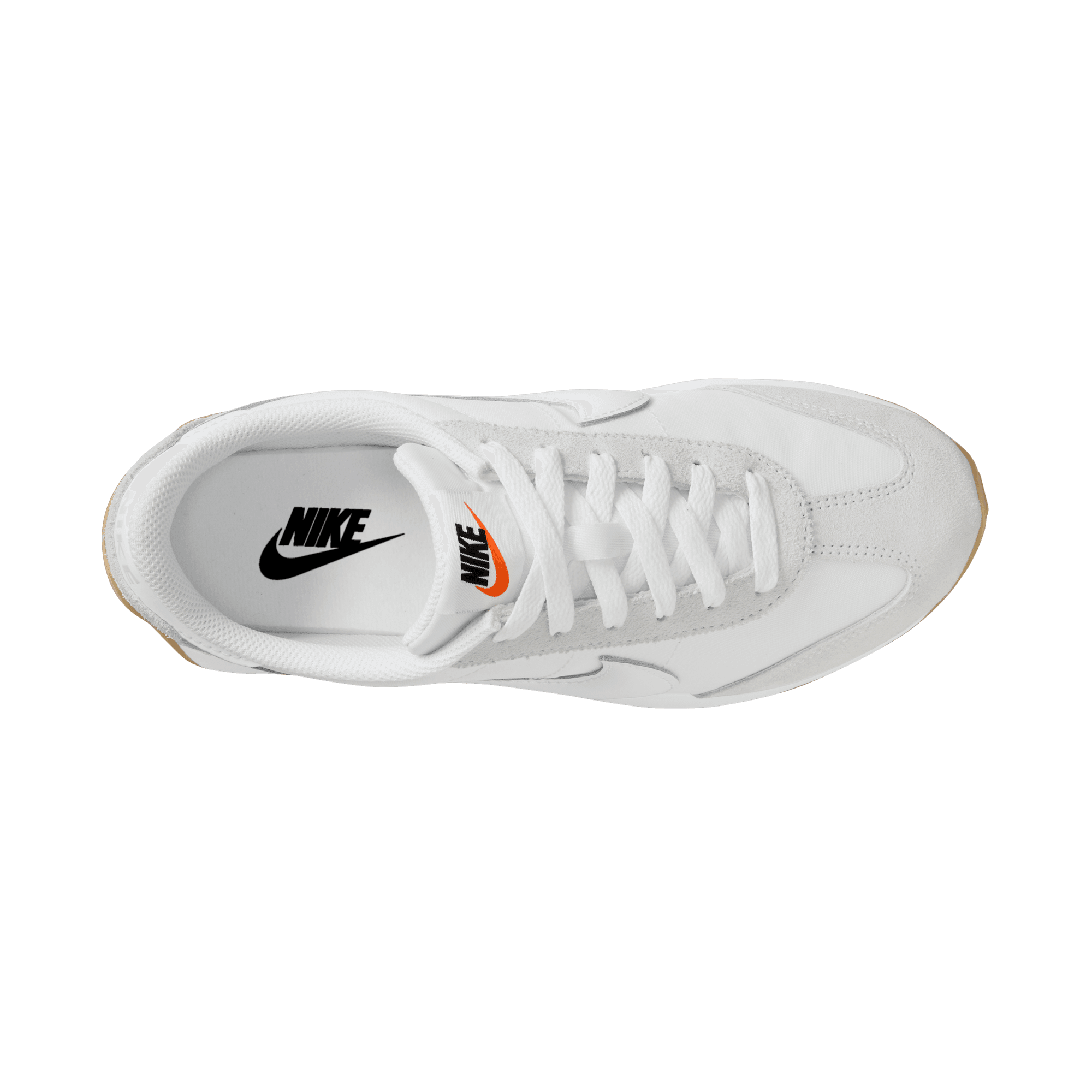 W Pacific 'White Gum'