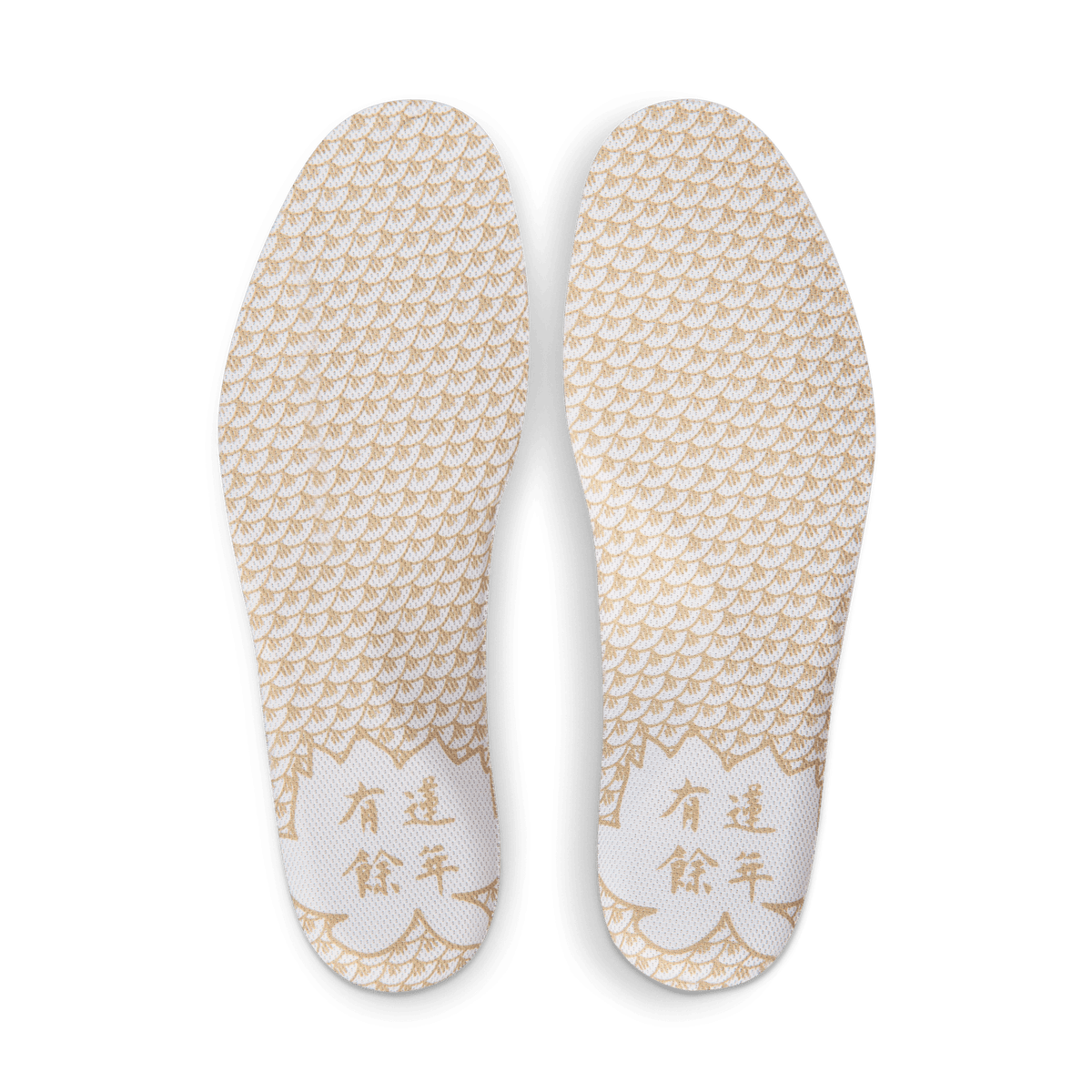 Air Foamposite One Premium 'Tianjin 2.0'