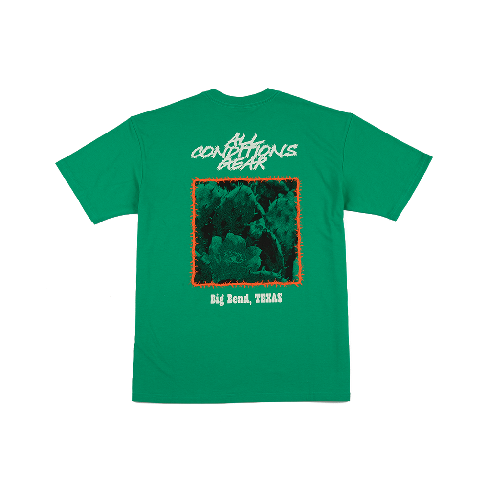 Nike ACG Cacti Tee 'Stadium Green'