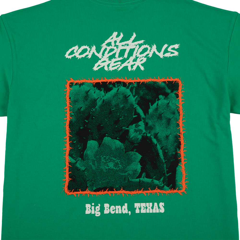 Nike ACG Cacti Tee 'Stadium Green'
