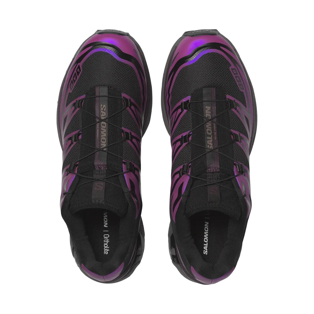 XT-6 Iridescent 'Black Hollyhock Plum Perfect'