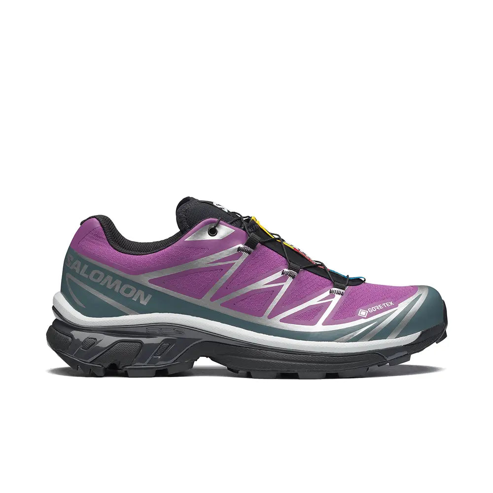 XT-6 Gore-Tex 'Concord Grape Stormy Weather'