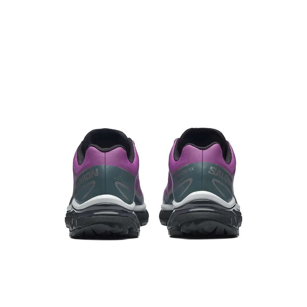 XT-6 Gore-Tex 'Concord Grape Stormy Weather'