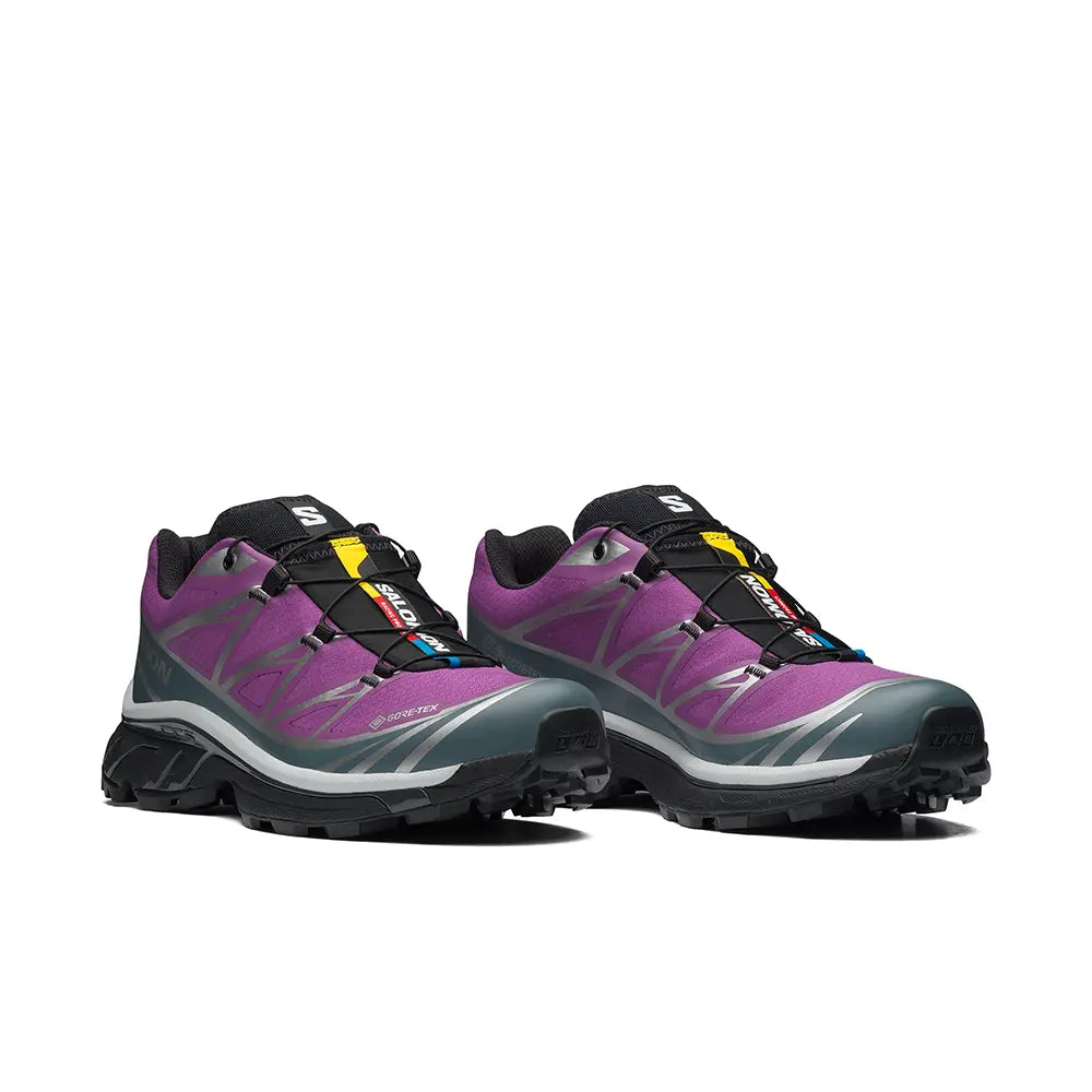 XT-6 Gore-Tex 'Concord Grape Stormy Weather'