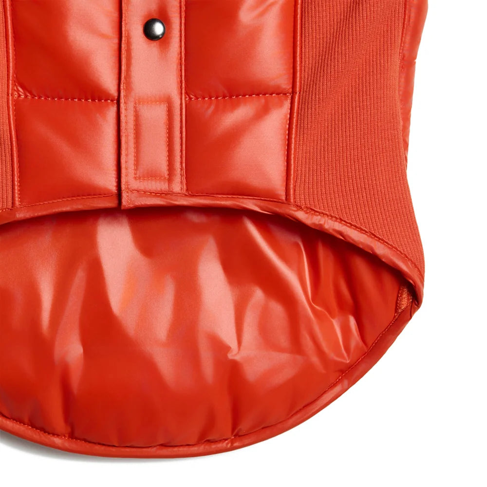 Pet Padded Vest 'Preloved Red White'