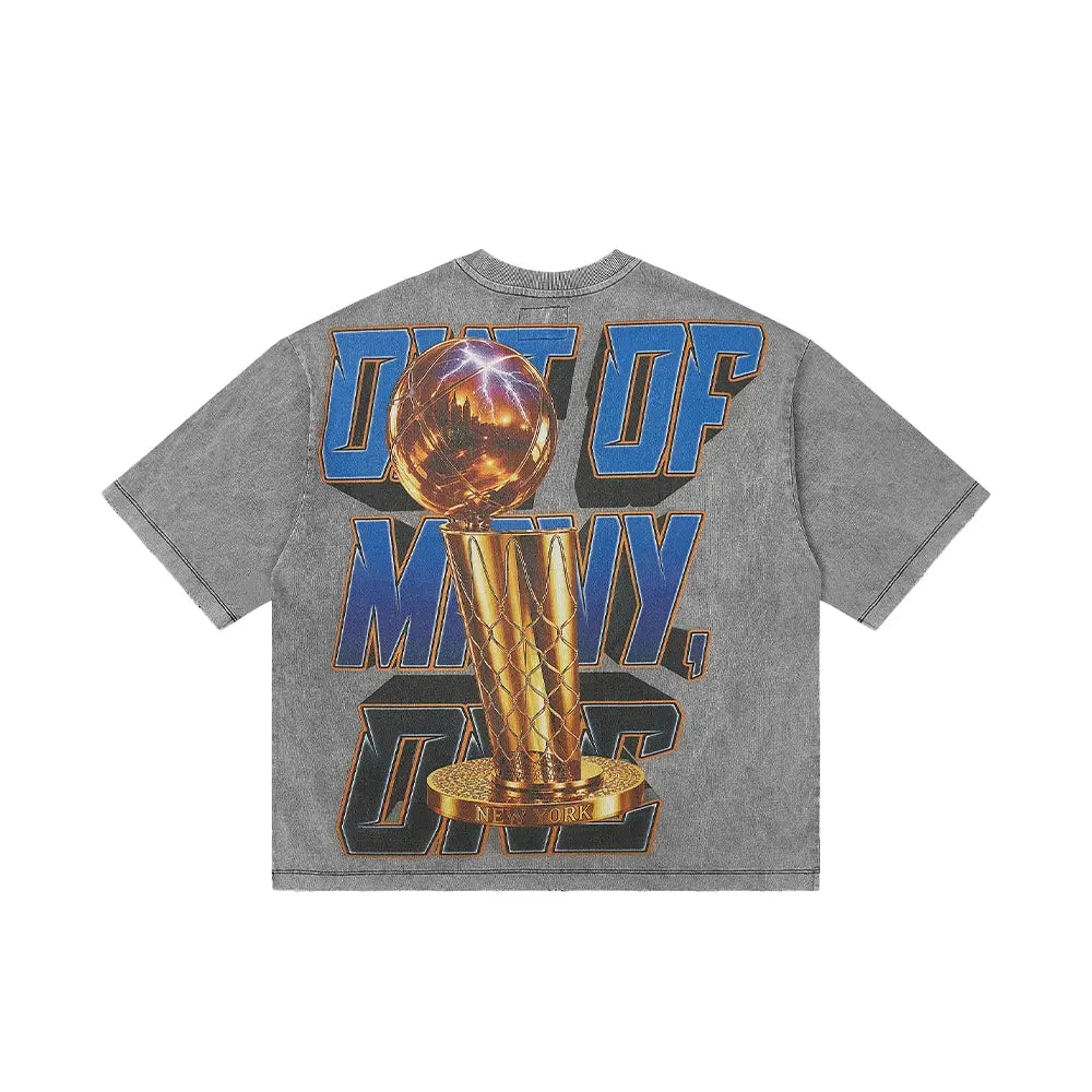Liberty Reigns Tee 'Grey Wash'