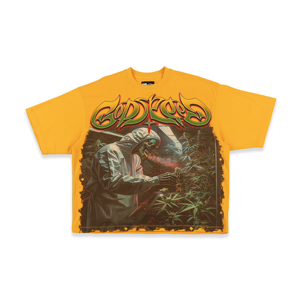 Outdoor Graphic Tee 'Gelato'