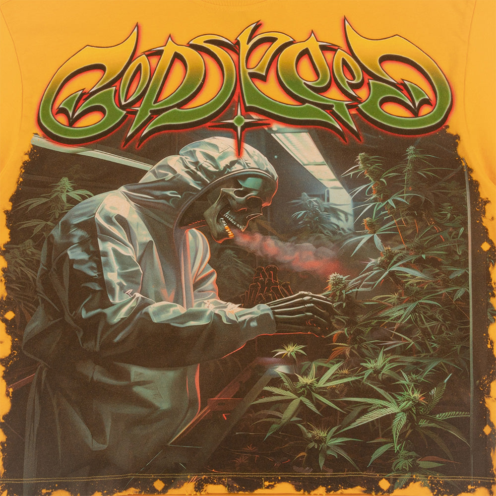 Outdoor Graphic Tee 'Gelato'