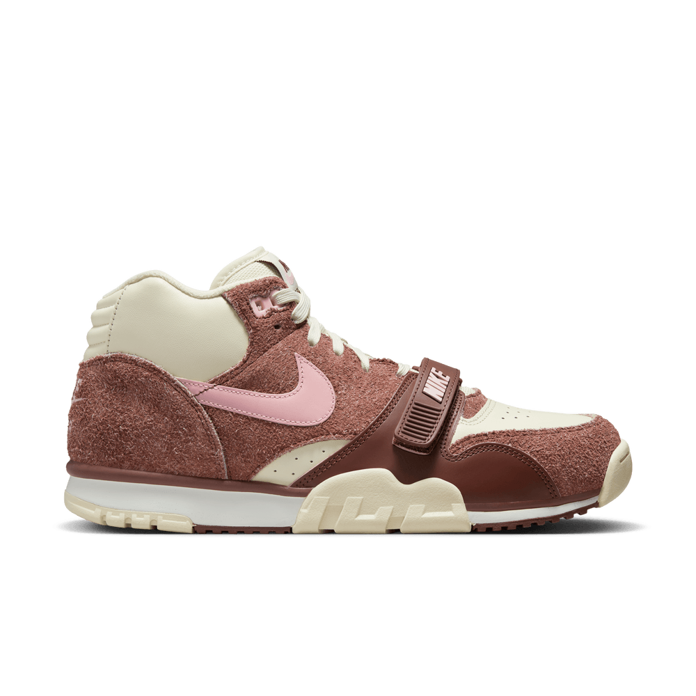 Air Trainer 1 'Dark Pony'