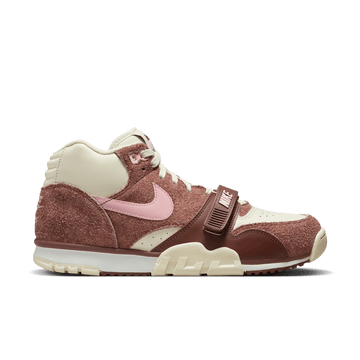 Air Trainer 1 'Dark Pony'